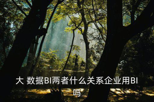 大 數(shù)據(jù)BI兩者什么關(guān)系企業(yè)用BI嗎