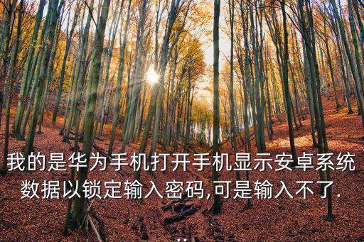 安卓 系統(tǒng)數(shù)據(jù),手機(jī)安卓系統(tǒng)數(shù)據(jù)已鎖定是人為嗎?