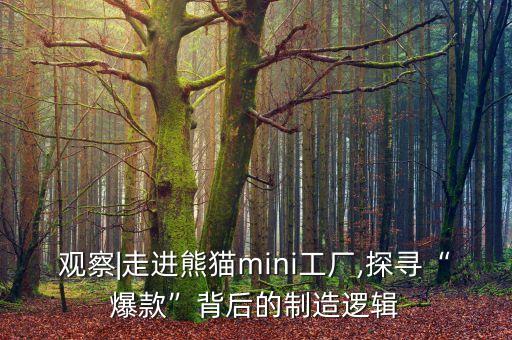 觀察|走進(jìn)熊貓mini工廠,探尋“爆款”背后的制造邏輯