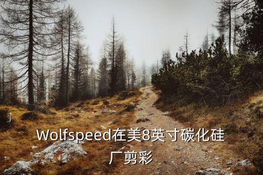 碳化硅打磨設備自動化控制,碳化硅磨料的性能及用途介紹
