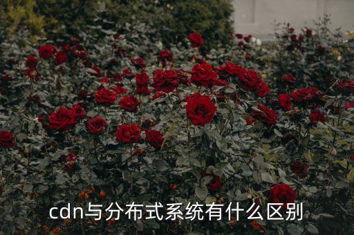 cdn與分布式系統(tǒng)有什么區(qū)別