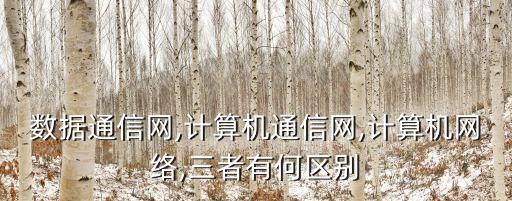數(shù)據(jù)網(wǎng)與傳輸網(wǎng)的區(qū)別,什么是傳輸網(wǎng)?一般指的是接入網(wǎng)