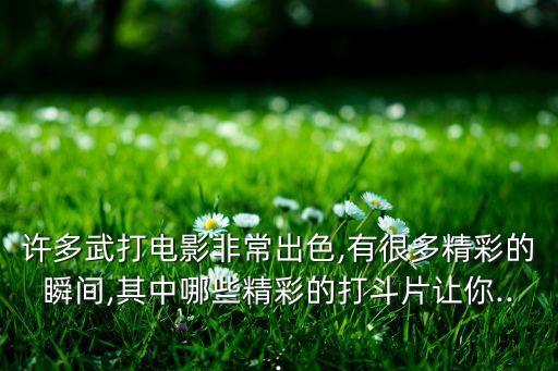 許多武打電影非常出色,有很多精彩的瞬間,其中哪些精彩的打斗片讓你...