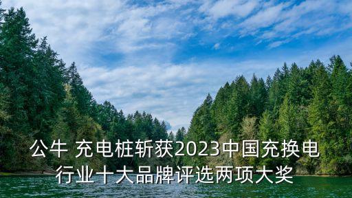 充電槍頭自動(dòng)化設(shè)備廠家