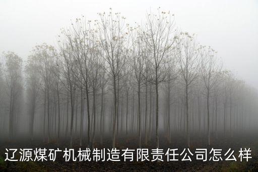 遼源煤礦機(jī)械制造有限責(zé)任公司怎么樣