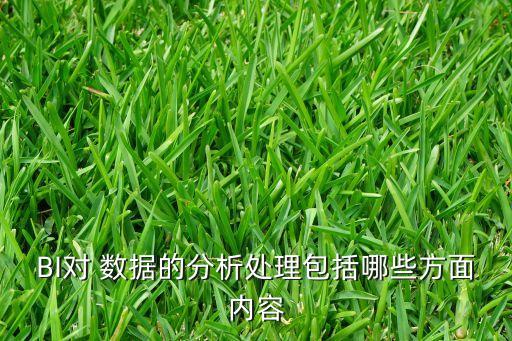 bi 數(shù)據(jù),bi數(shù)據(jù)分析是什么意思