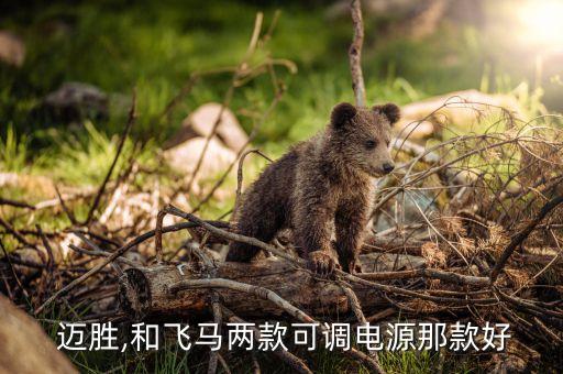  邁勝,和飛馬兩款可調(diào)電源那款好