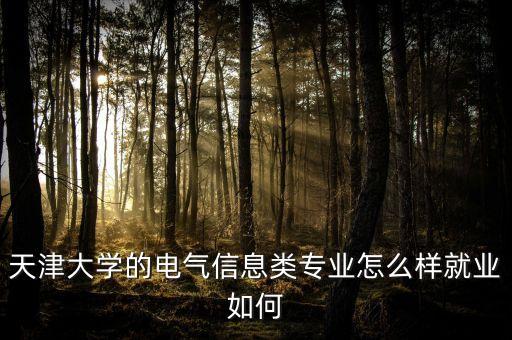 天津大學(xué)的電氣信息類專業(yè)怎么樣就業(yè)如何