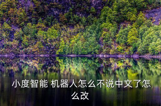  小度智能 機器人怎么不說中文了怎么改