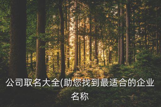 公司取名大全(助您找到最適合的企業(yè)名稱