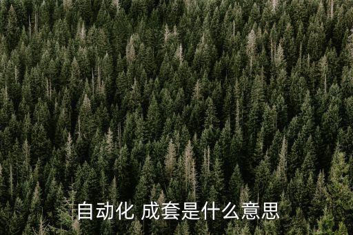  自動化 成套是什么意思