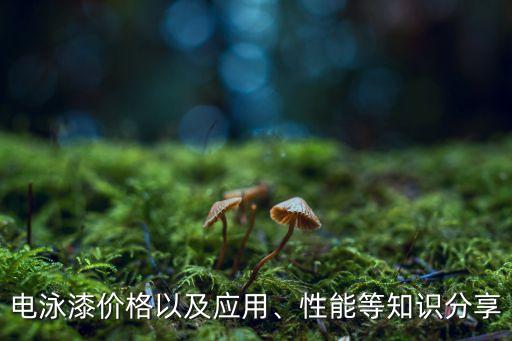 電泳漆價格以及應(yīng)用、性能等知識分享
