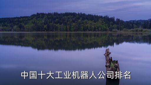 智能服務(wù)機器人公司有哪些,人工智能有哪些公司?