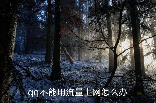 qq用不了移動(dòng)數(shù)據(jù),為什么手機(jī)qq不能用?原來是這回事