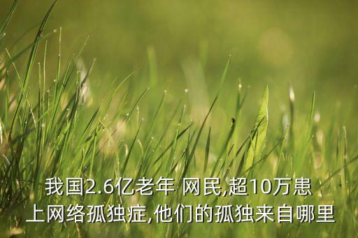 我國2.6億老年 網(wǎng)民,超10萬患 上網(wǎng)絡孤獨癥,他們的孤獨來自哪里