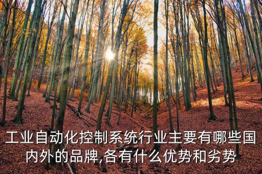 工業(yè)自動(dòng)化控制系統(tǒng)行業(yè)主要有哪些國(guó)內(nèi)外的品牌,各有什么優(yōu)勢(shì)和劣勢(shì)