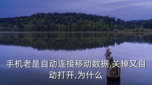 中興為什么手機(jī)總是自動數(shù)據(jù)連接,手機(jī)為什么自動連接上網(wǎng)?