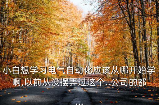 小白想學(xué)習(xí)電氣自動(dòng)化應(yīng)該從哪開始學(xué)啊,以前從沒擺弄過這個(gè)..公司的都...