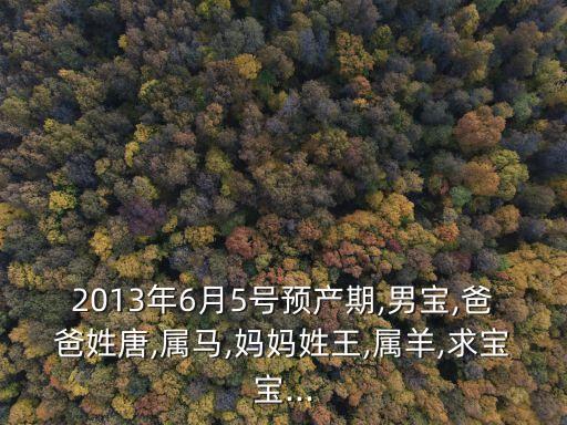 2013年6月5號預(yù)產(chǎn)期,男寶,爸爸姓唐,屬馬,媽媽姓王,屬羊,求寶寶...