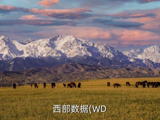 西部數(shù)據(jù)(WD
