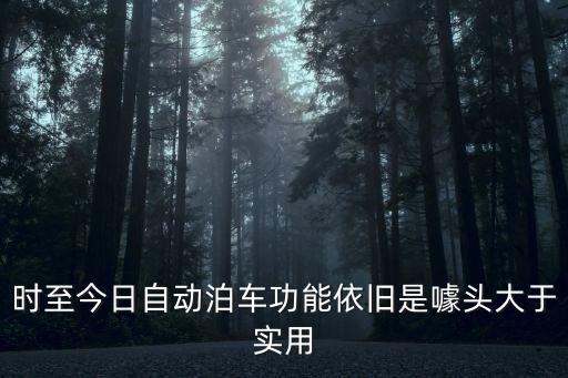 時至今日自動泊車功能依舊是噱頭大于實用