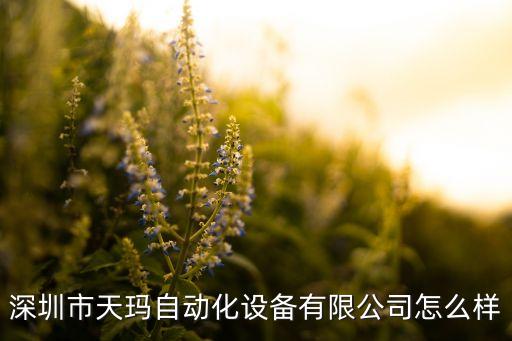 深圳市天瑪自動化設(shè)備有限公司怎么樣