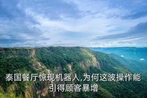 泰國餐廳驚現(xiàn)機器人,為何這波操作能引得顧客暴增