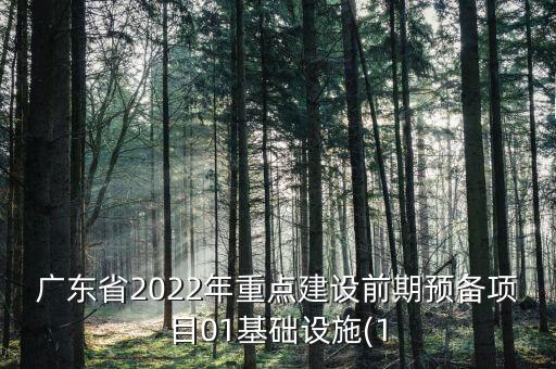 廣東省2022年重點(diǎn)建設(shè)前期預(yù)備項(xiàng)目01基礎(chǔ)設(shè)施(1
