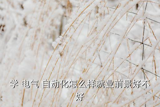 學(xué) 電氣 自動(dòng)化怎么樣就業(yè)前景好不好