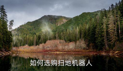 如何選購(gòu)掃地機(jī)器人