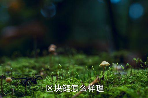 區(qū)塊鏈數(shù)據(jù)保存