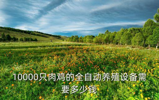 10000只肉雞的全自動(dòng)養(yǎng)殖設(shè)備需要多少錢