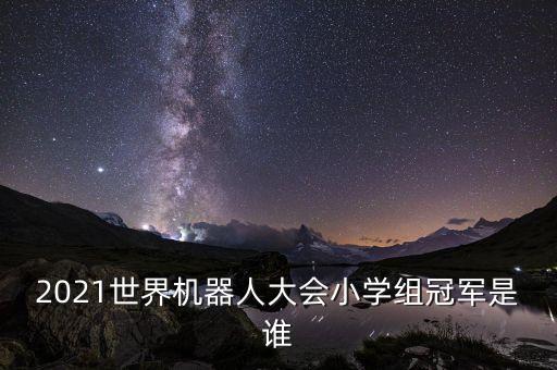 2021世界機(jī)器人大會小學(xué)組冠軍是誰