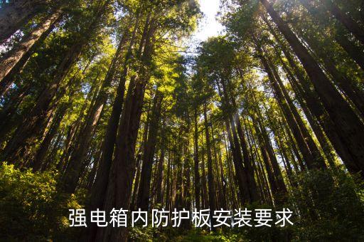 強(qiáng)電箱內(nèi)防護(hù)板安裝要求