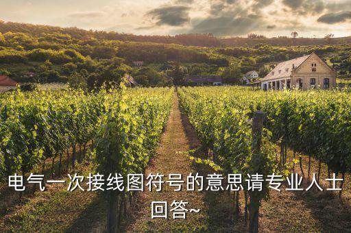 電氣一次接線圖符號(hào)的意思請(qǐng)專業(yè)人士回答~