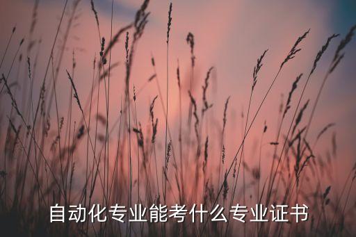 自動化專業(yè)能考什么專業(yè)證書