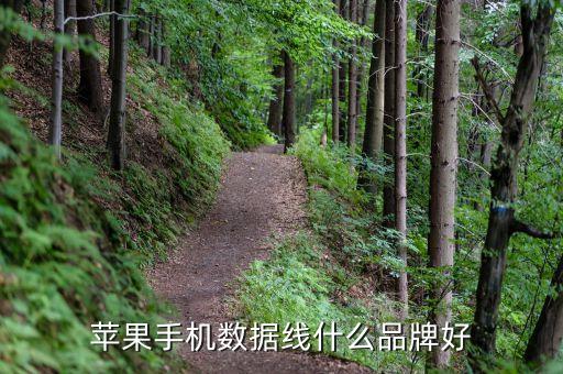 蘋果手機數(shù)據(jù)線什么品牌好