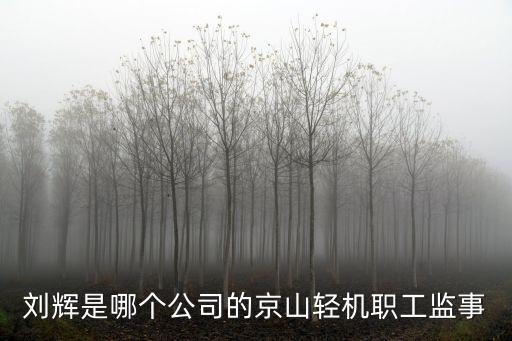 劉輝是哪個公司的京山輕機職工監(jiān)事