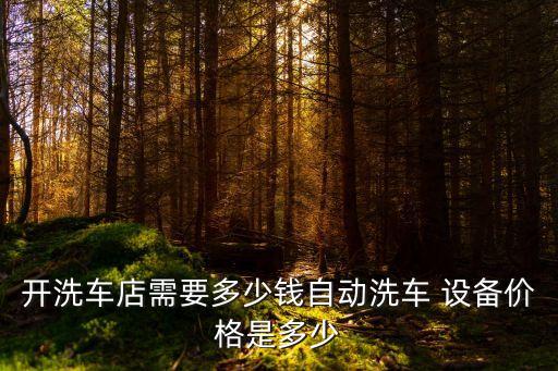 開洗車店需要多少錢自動洗車 設備價格是多少