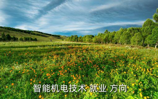 智能自動(dòng)化專(zhuān)業(yè)就業(yè)方向有哪些,電子信息自動(dòng)化專(zhuān)業(yè)就業(yè)方向