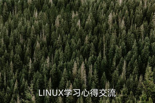 多任務學習,王瑞杰:沒有真才實學無法立足社會
