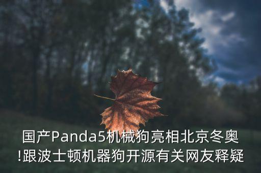 會看門的狗機器人,大狗機器人怎么做?