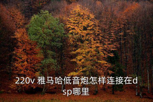 220v 雅馬哈低音炮怎樣連接在dsp哪里