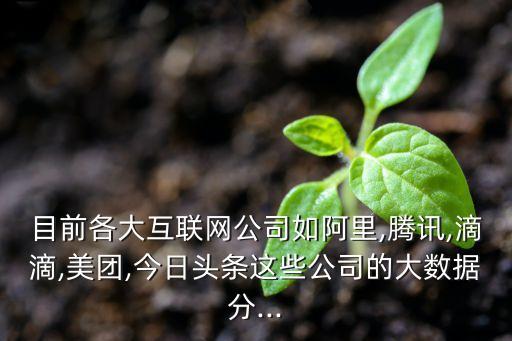 互聯(lián)網(wǎng)的數(shù)據(jù)分析平臺,互聯(lián)網(wǎng)大數(shù)據(jù)采集與分析平臺有哪些?