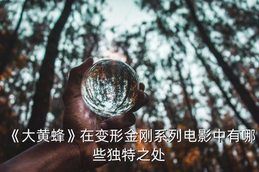 《大黃蜂》在變形金剛系列電影中有哪些獨(dú)特之處