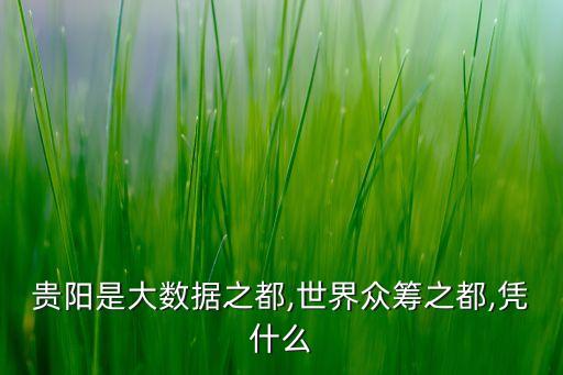 貴陽是大數(shù)據(jù)之都,世界眾籌之都,憑什么