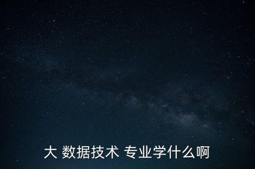 大 數(shù)據(jù)技術(shù) 專業(yè)學(xué)什么啊
