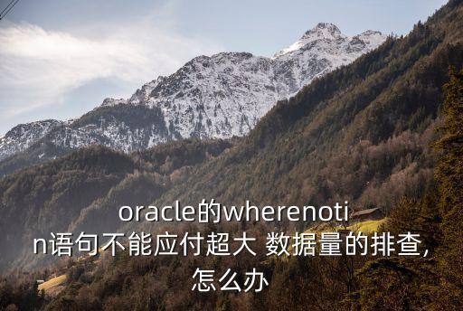  oracle的wherenotin語句不能應付超大 數據量的排查,怎么辦