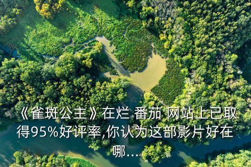 《雀斑公主》在爛 番茄 網(wǎng)站上已取得95%好評率,你認(rèn)為這部影片好在哪...