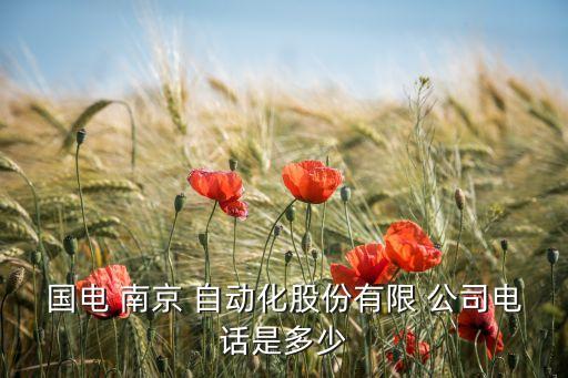 國(guó)電 南京 自動(dòng)化股份有限 公司電話是多少